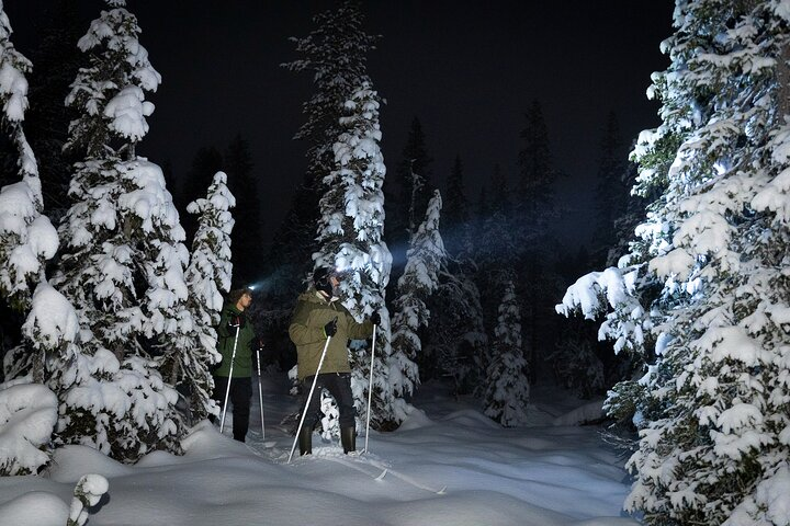 Evening Ski Trek to the Wilderness - Photo 1 of 11