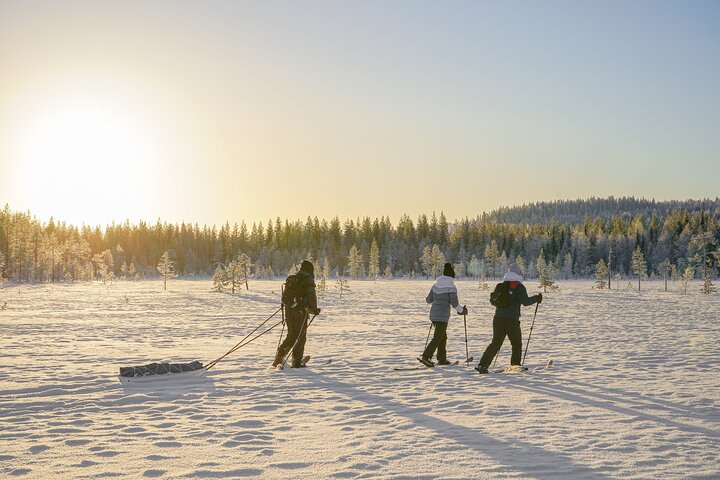 First Arctic Expedition on Altai Skis - Photo 1 of 9