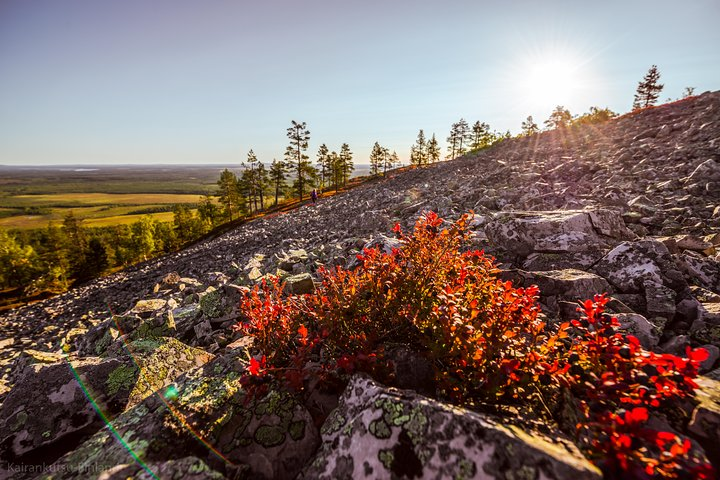 Guided easy hike in Finland deepest gorge in Pyhä-Luosto National Park - Photo 1 of 8