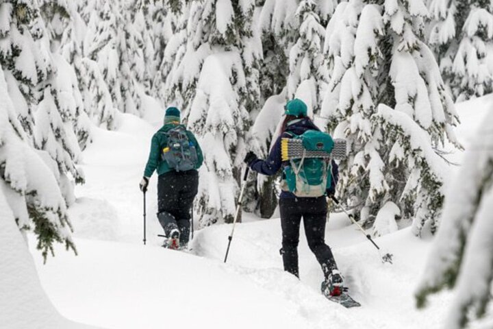 Guided Wilderness Snowshoes Expedition Tour in Rovaniemi - Photo 1 of 5