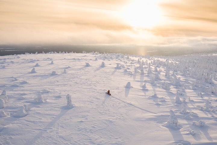 Half-Day Snowmobile Tour in Lapland - Photo 1 of 4