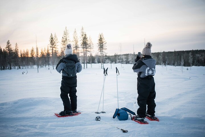 Half Day Snowshoe Hiking Adventure in Levi Lapland - Photo 1 of 12