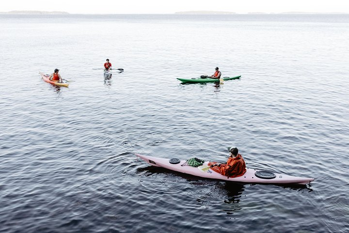 Helsinki by Kayak - Photo 1 of 6