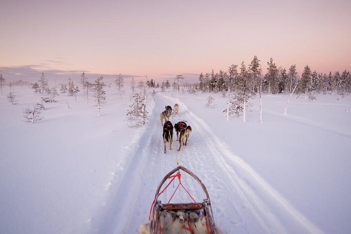 Husking sled ride