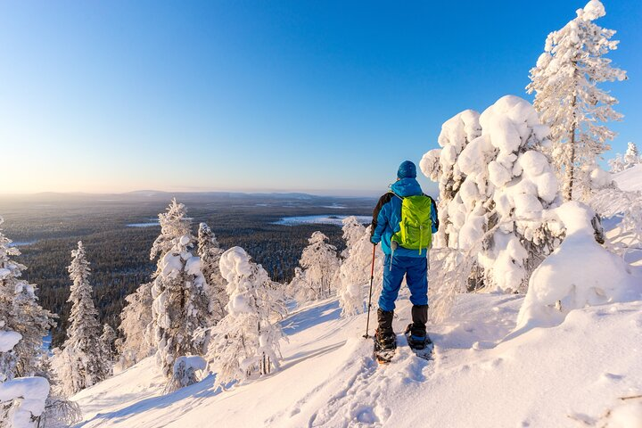 Lapland Winter Experience - Photo 1 of 8