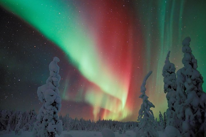 Northern Lights Hunt Including Snacks on Campfire from Levi - Photo 1 of 6