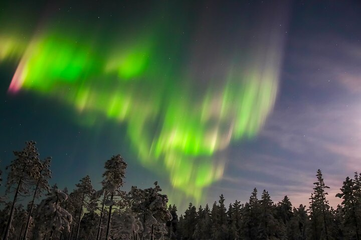 Northern lights hunting photo tour in Levi - Photo 1 of 6