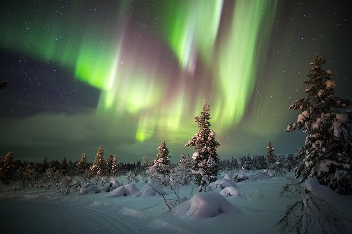 Northern Lights Hunting With Snowmobiles - Photo 1 of 7