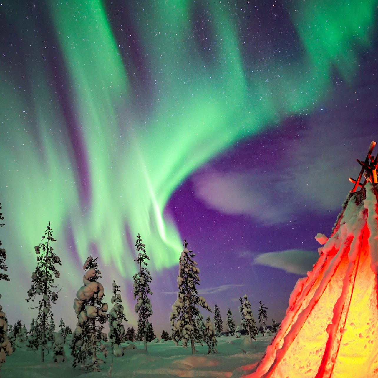 Northern Lights Wilderness Tour with Professional Camera - Photo 1 of 8