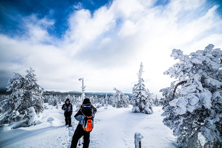 Photographing Tour by Snowmobile Sleigh - Photo 1 of 11