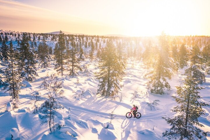 Ride a bike and experience the Winter Wonderland of the Urho Kekkonen National Park. 