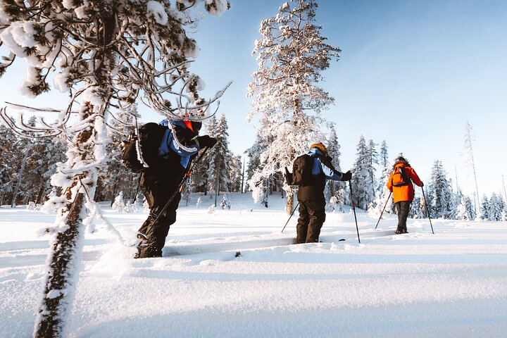 Ski Trekking Safari in Lapland  - Photo 1 of 9