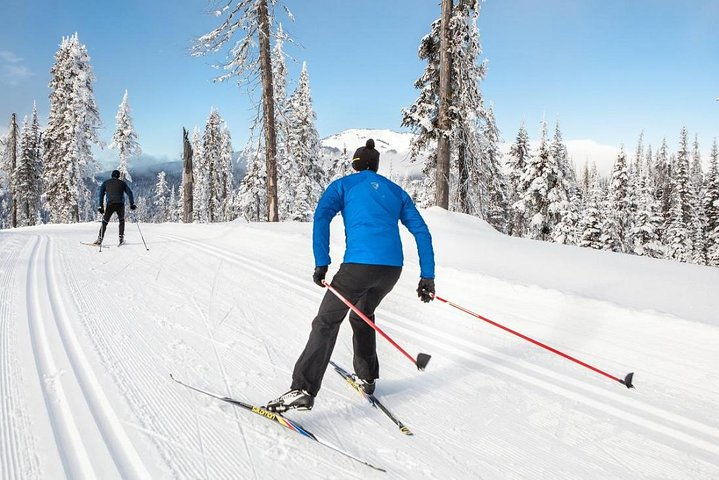 Cross Country Ski