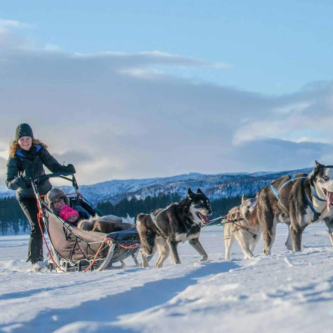 Snowmobile & Animals Day Tour - Photo 1 of 3