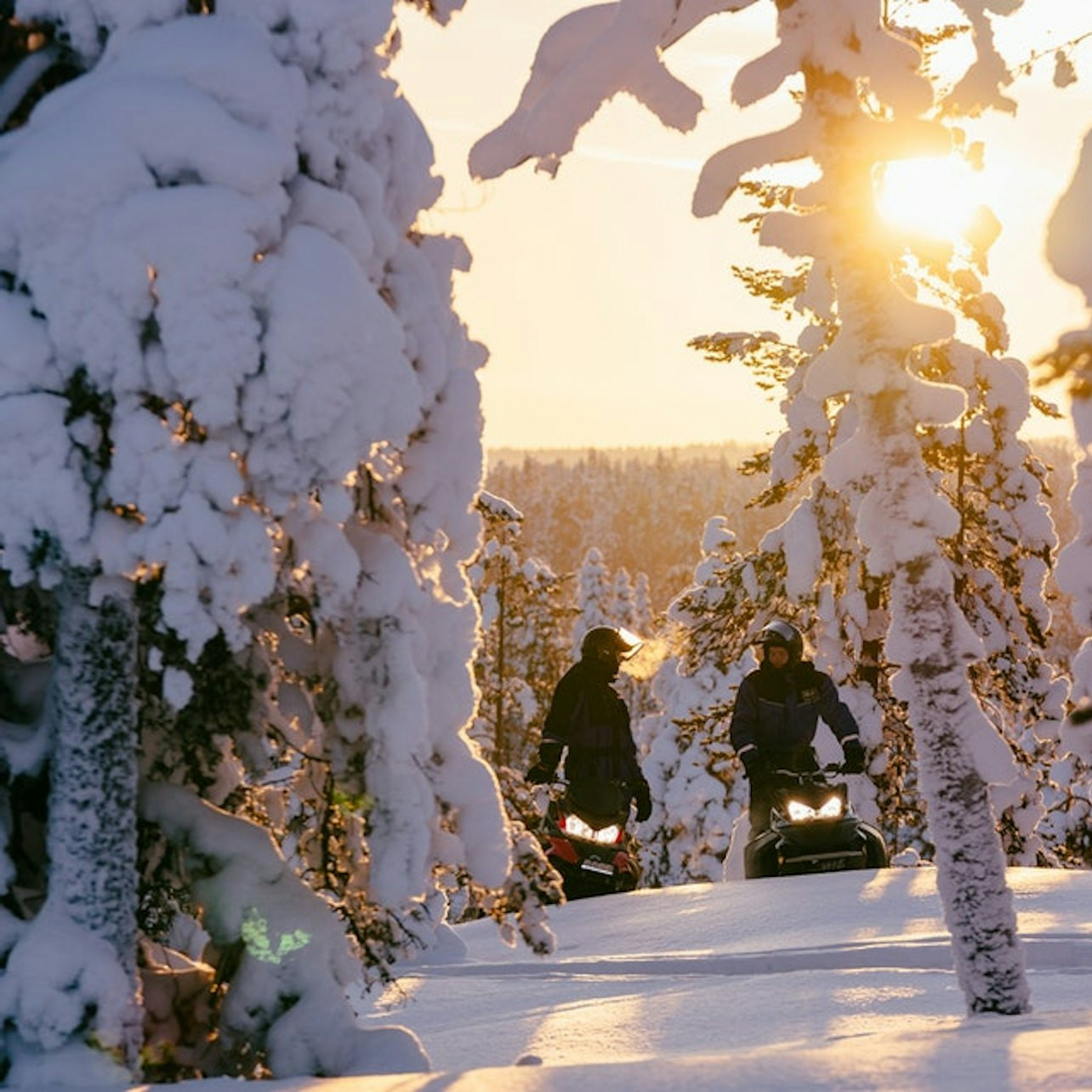 Snowmobile Safari 1 Hour - Photo 1 of 6