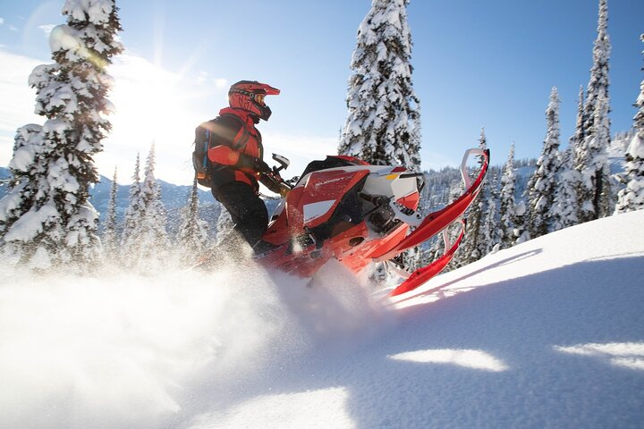 Snowmobiles and Huskies - Photo 1 of 4