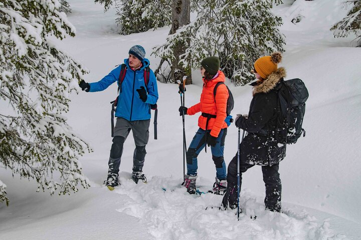 Snowshoeing Adventure with Ice-Fishing, Fire and Survival - Photo 1 of 12