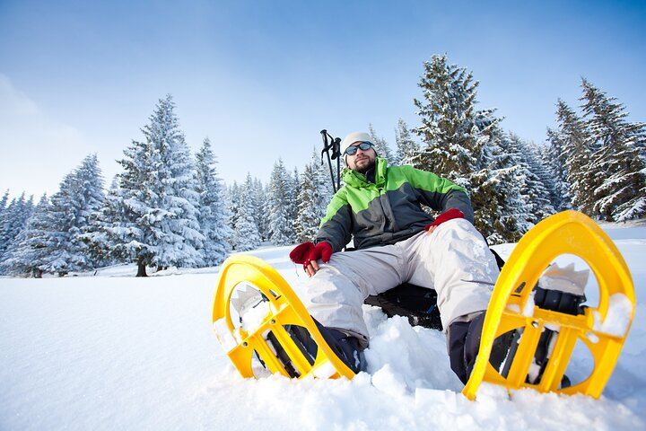 Snowshoeing in Levi - Photo 1 of 5