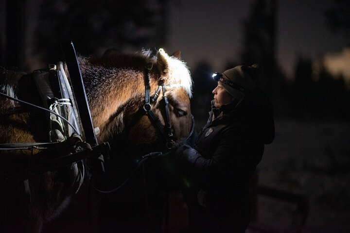 Experience the charm of a traditional sleigh ride with a Finnhorse as the soft sounds of jingling bells guide you through serene winter landscapes under the glow of twilight.