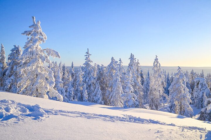 Beautiful winter scenery in Lapland