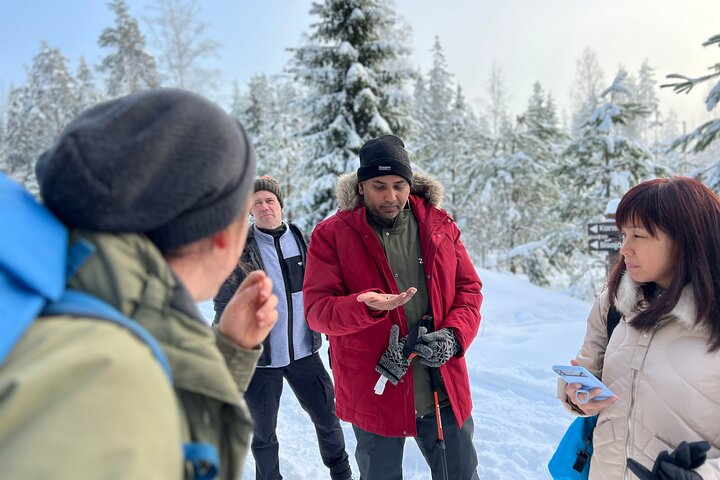 Winter Wonderland Hike in a National Park  - Photo 1 of 19