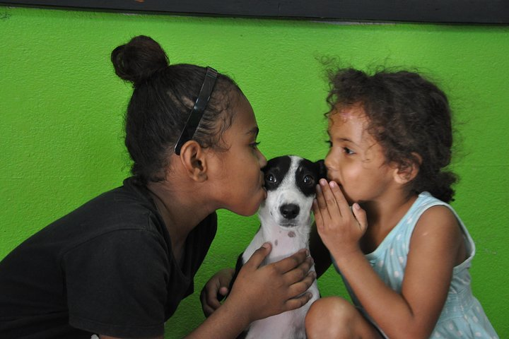 Shelter Visit & Tour - Photo 1 of 12