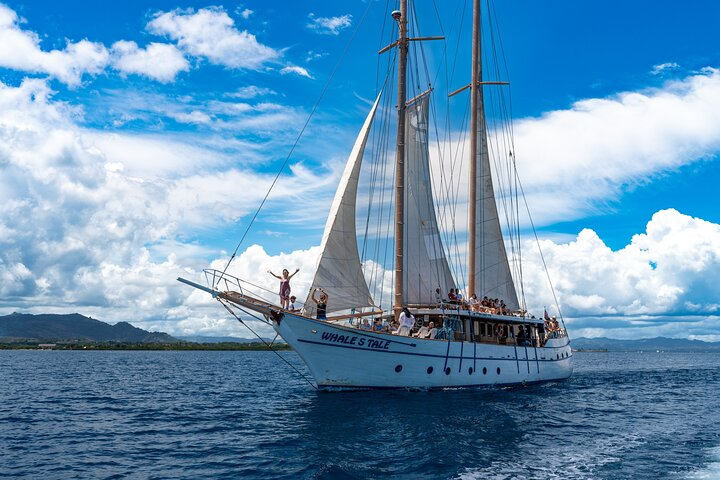 Whale's Tale Day Cruise from Port Denarau - Photo 1 of 11