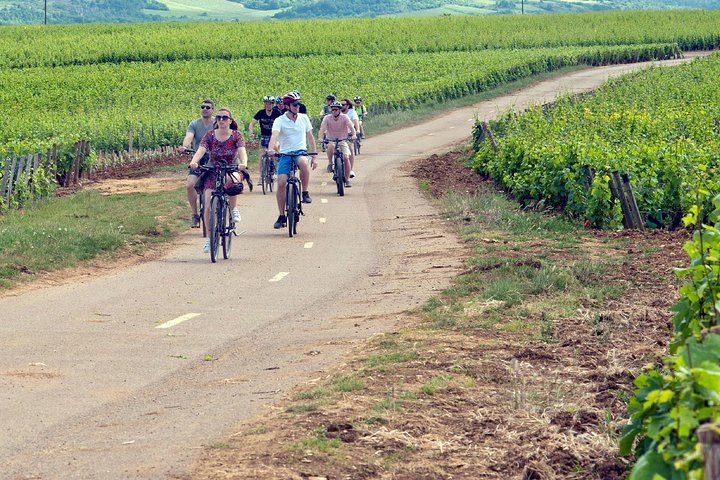 The vineyards by Electric bike