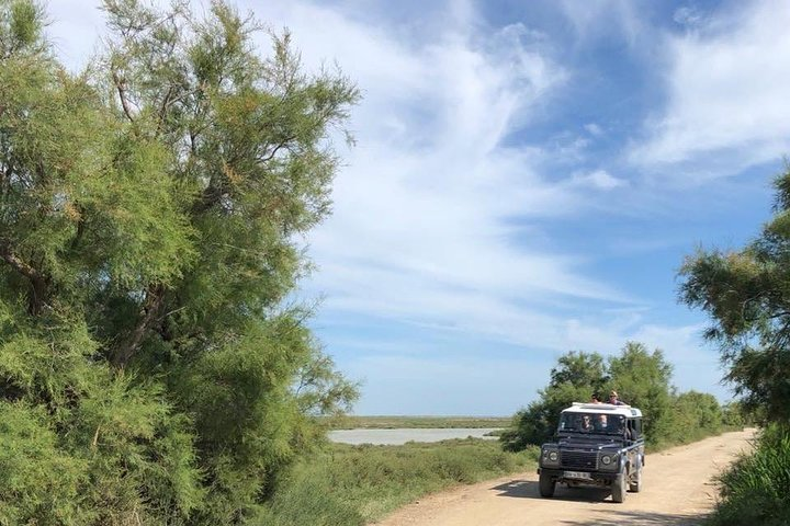 4x4 Camargue Safari 4h - Departure from Arles - Photo 1 of 7