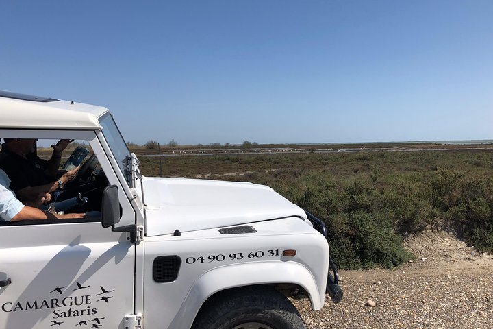 4x4 Camargue Safari 4h - Private Tour - Departure from Arles - Photo 1 of 8