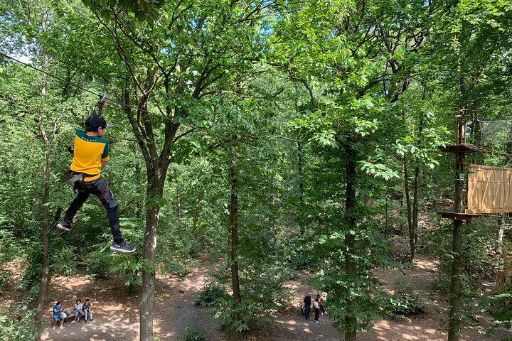 Accrobranches course in the middle of the forest in Saint-Germain-en-Laye - Photo 1 of 5