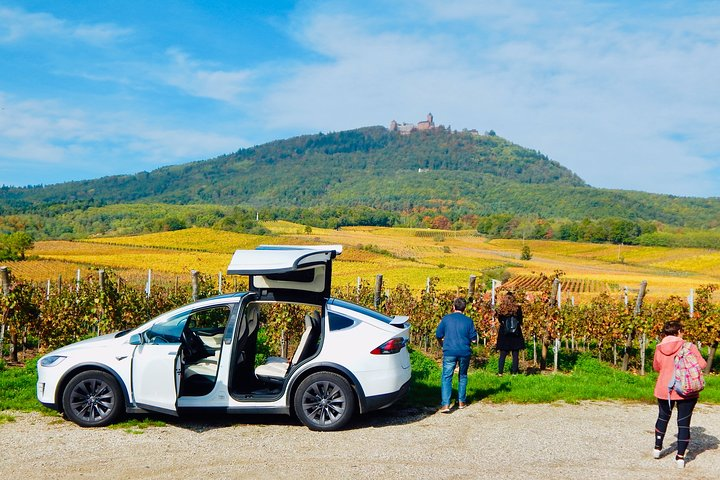 Alsace Discovery Private Tour with Local Villages & Castles - Photo 1 of 7