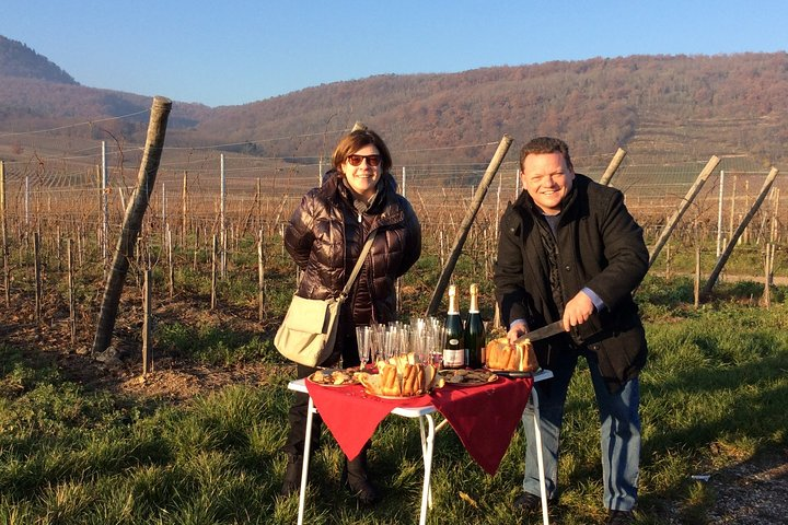 Alsace Private Tailored Tour in a Tesla with a Local - Photo 1 of 9