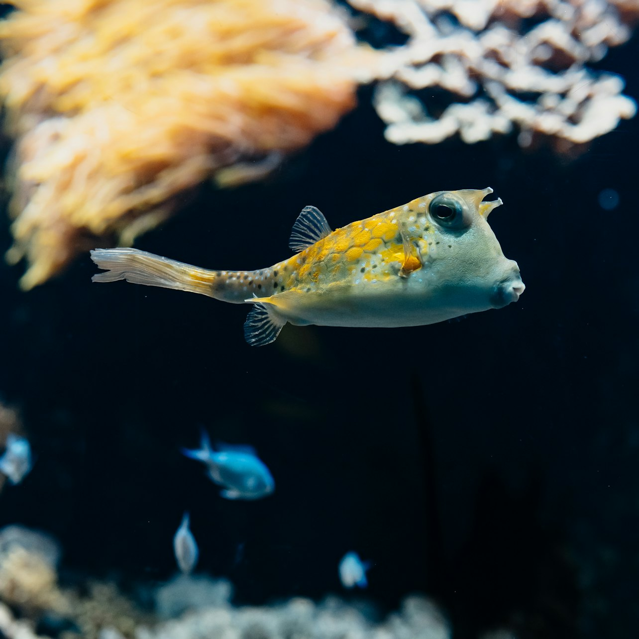 Aquarium of Lyon - Photo 1 of 19