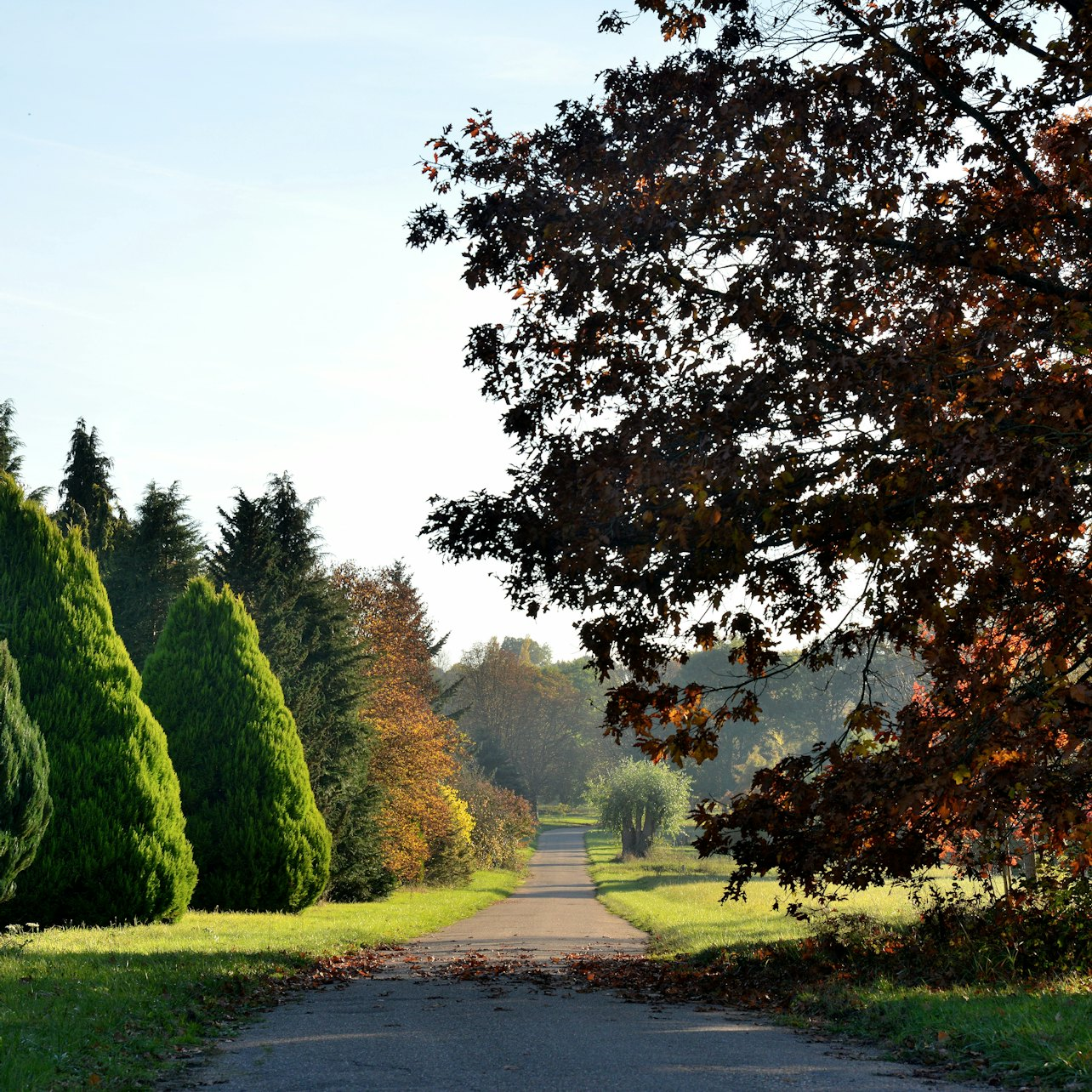 Arboretum de Versailles-Chèvreloup - Photo 1 of 6