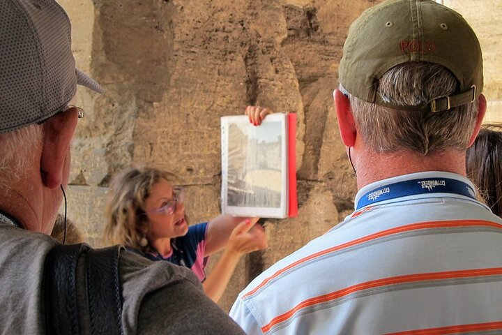 Arles and Saint-Rémy-de-Provence Private Tour - Photo 1 of 12