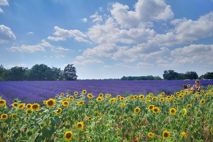 Luberon