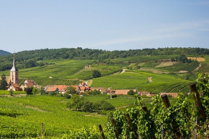 Wine Route by bike