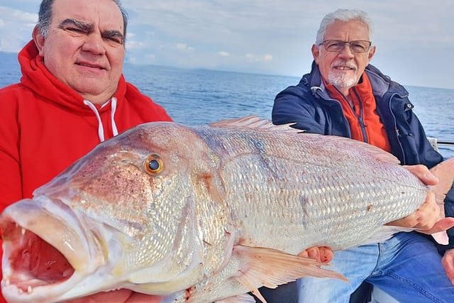 Boat Fishing Trip - Photo 1 of 12