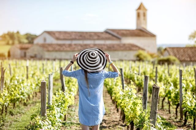 Saint-Emilion vineyard