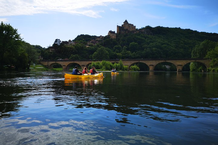 Canoe Butterfly - Photo 1 of 4