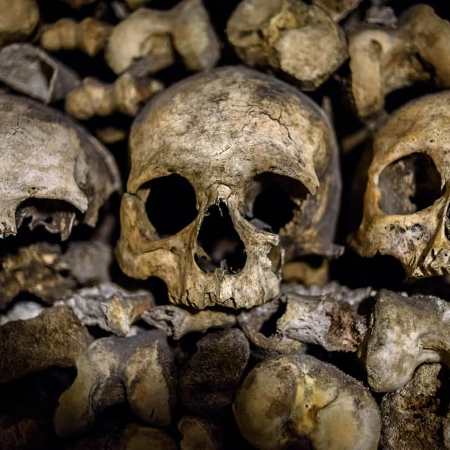 Catacombs of Paris: Guided Tour - Photo 1 of 8