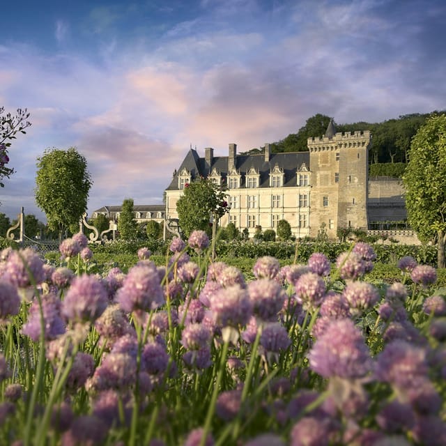 Château de Villandry - Photo 1 of 7