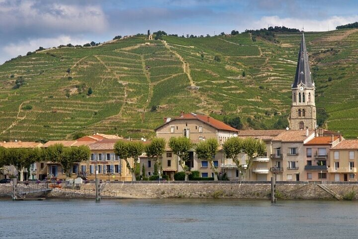 Côte Rôtie Private tour - Photo 1 of 3