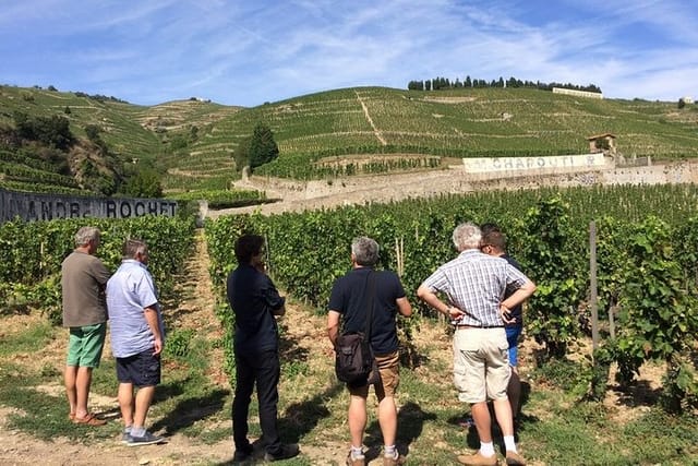 Cotes du Rhone Wine Tour - Private Tour - Full Day From Lyon - Photo 1 of 10