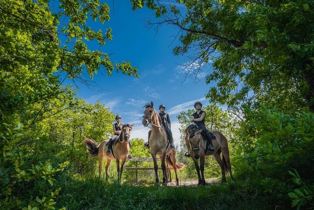 Horse-riding in the Forest of Fontainebleau