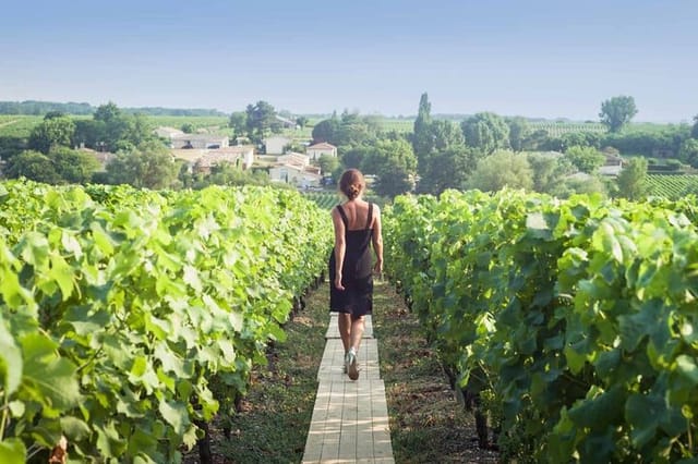 Discover The Cellars in The Heart of The Countryside in Champagne - Photo 1 of 15