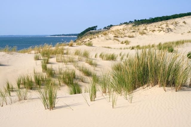 Dune du Pilat and Oysters Tasting in only 1 hour away from Bordeaux ! What else? - Photo 1 of 12