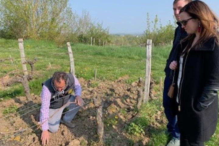 English Speaking Loire Winery Tours originating from Chinon - Photo 1 of 17