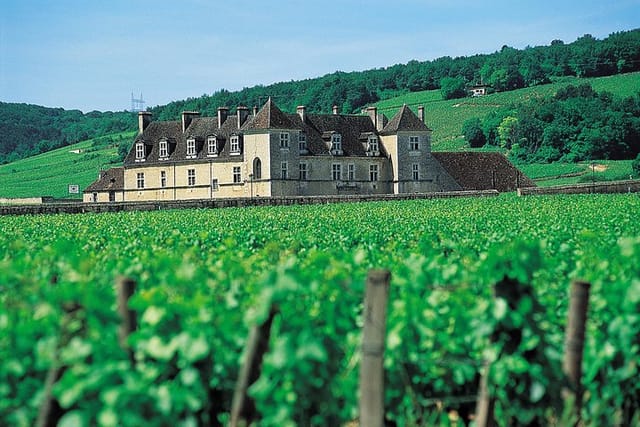 THE GREAT VINEYARDS BOURGUIGNONS